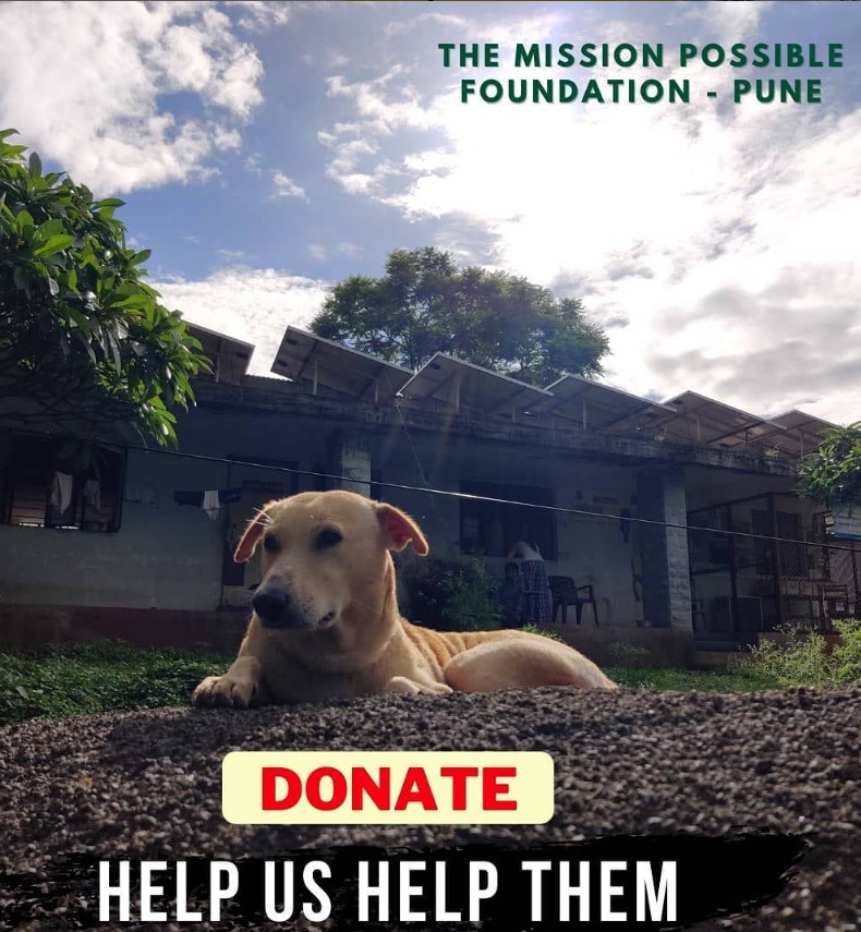 Donate
